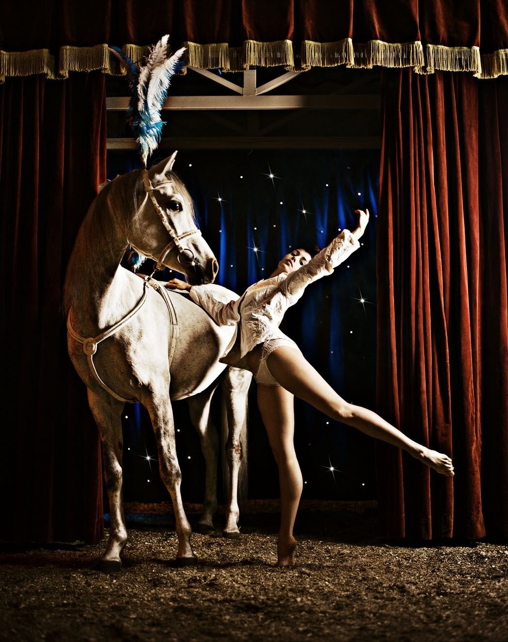 Цирковая Лошадь По Гороскопу