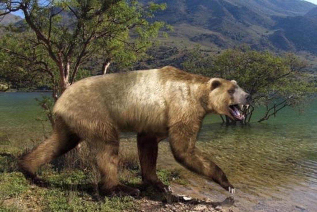 Саблезубый медведь фото
