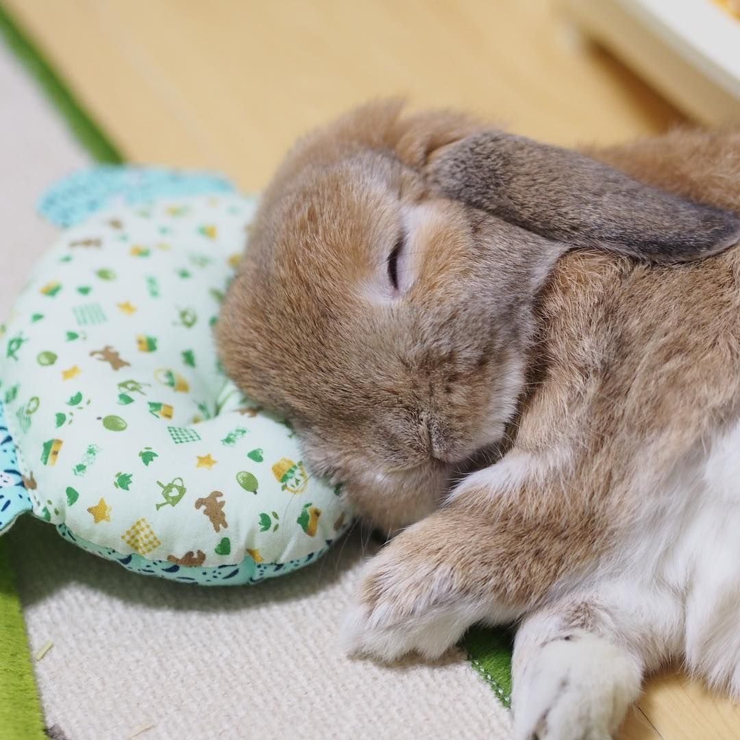 Голая баба спит с плюшевым зайцем 