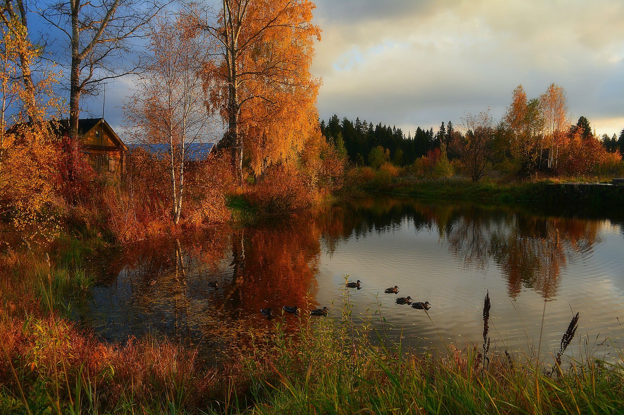 Деревня Чижова река осень