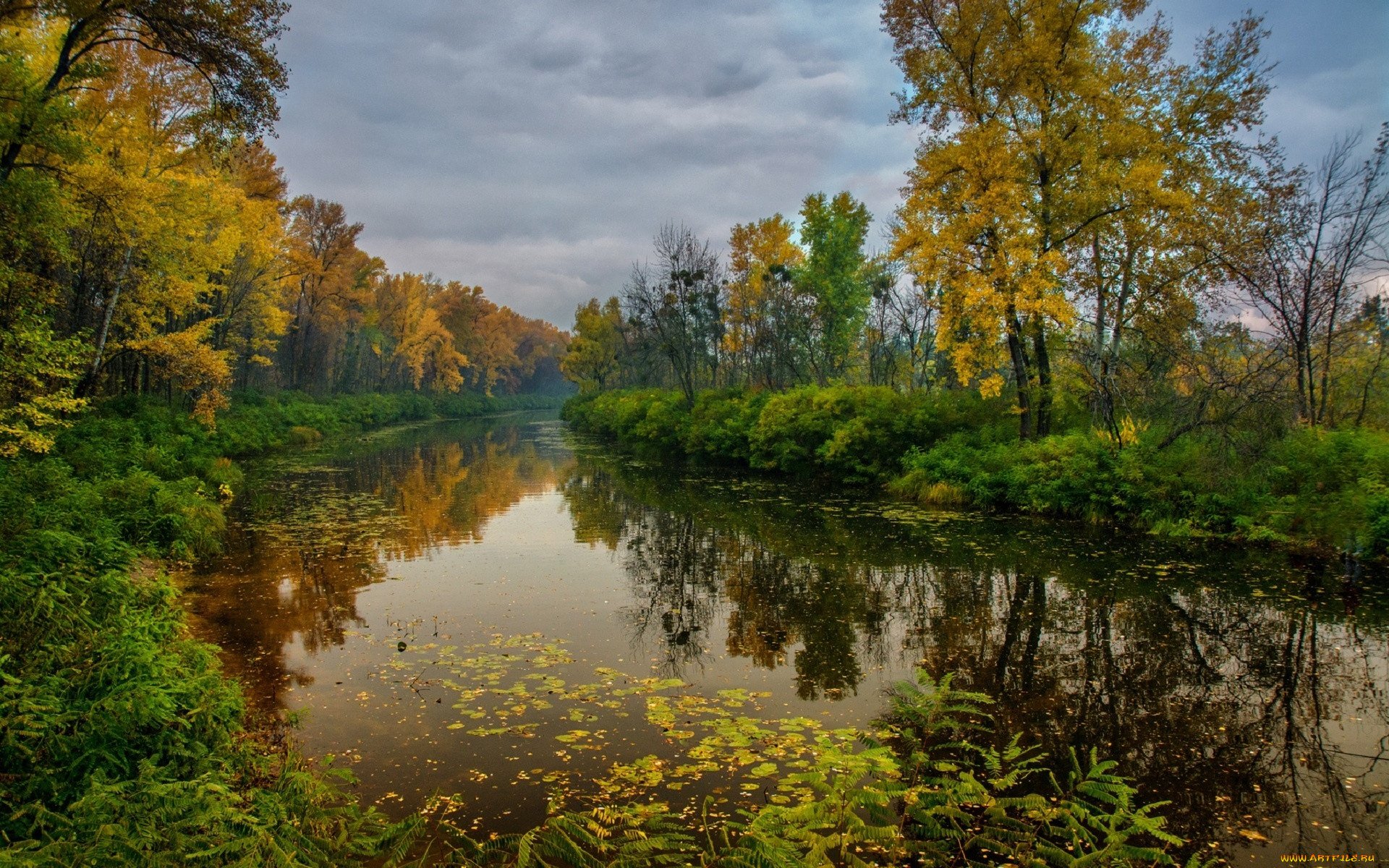 Фото Осенних Пейзажей России