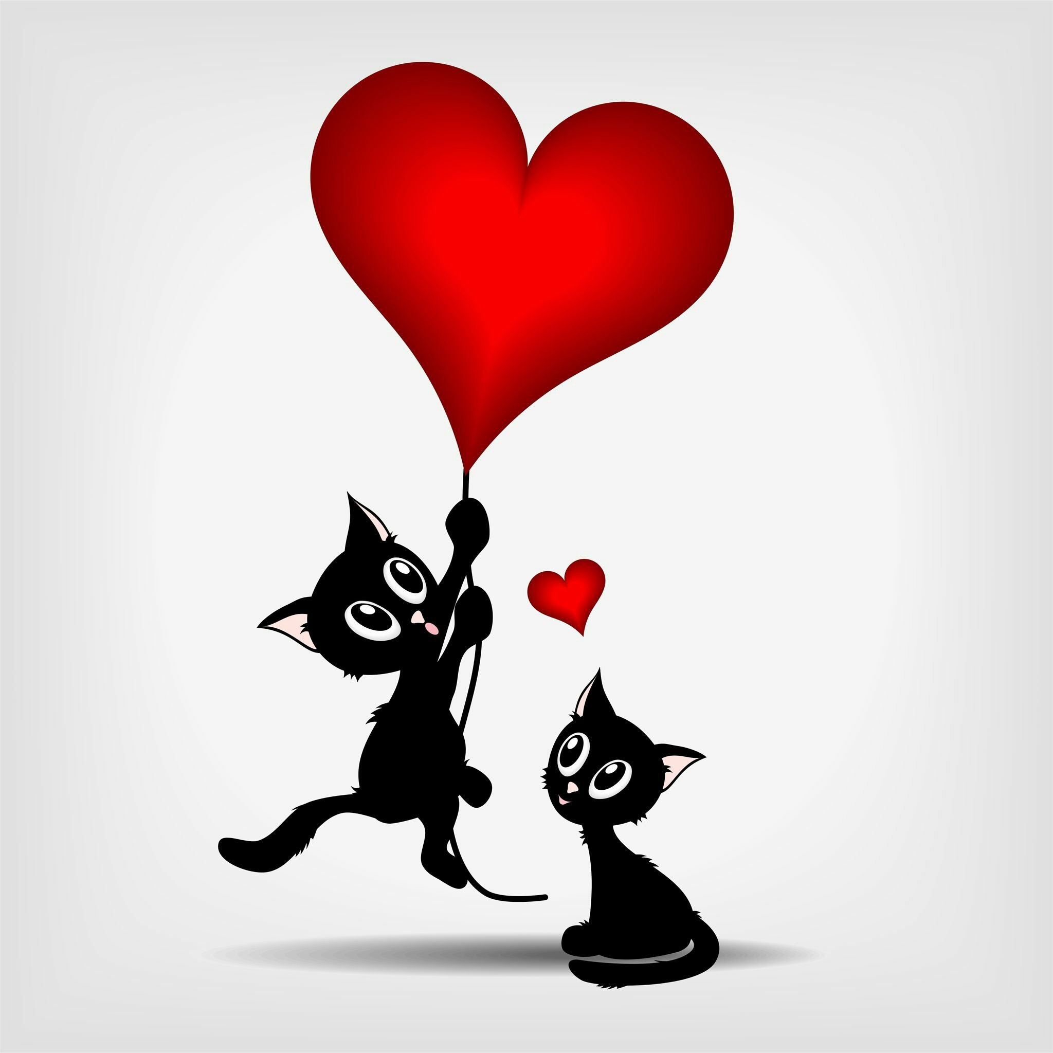 Чёрный котёнок с сердечком