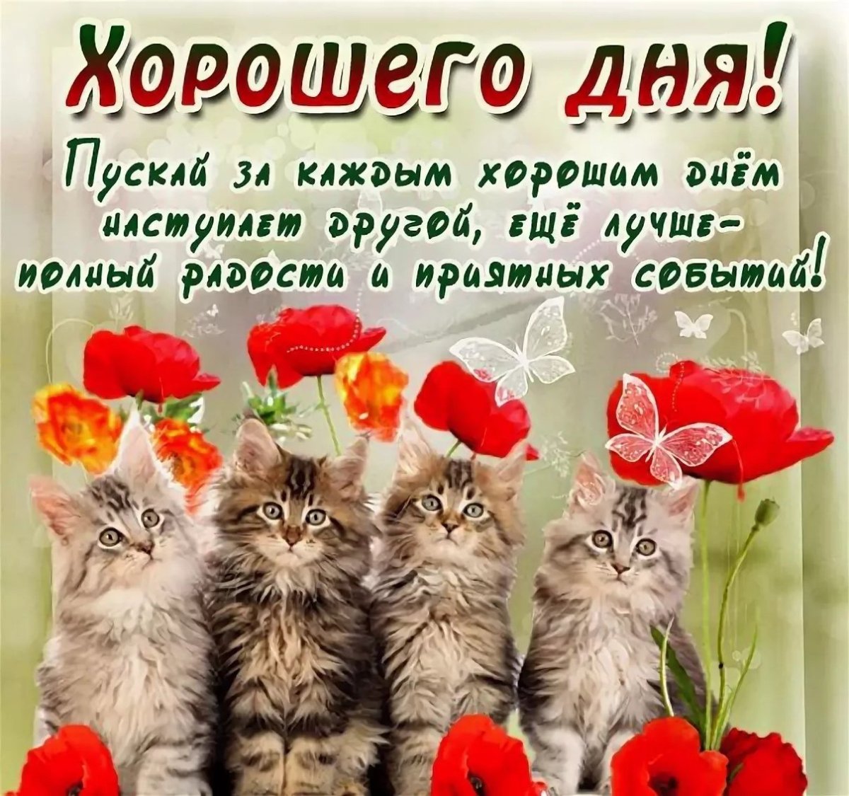 Прикольные пожелания хорошего дня