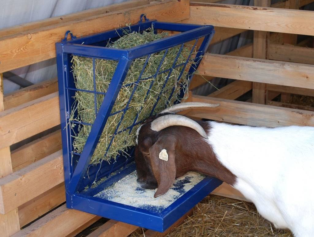 Как сделать кормушку для козы своими руками?