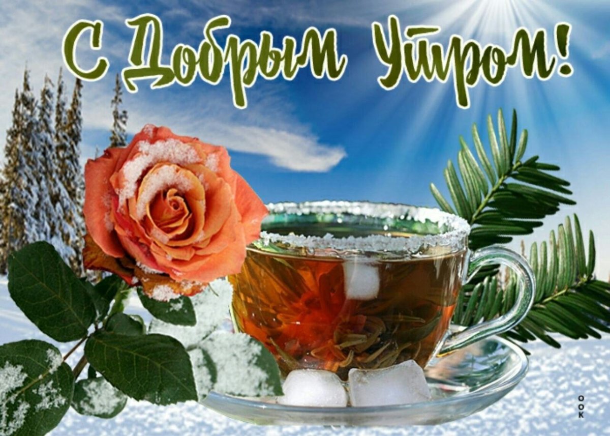 Доброе зимнее утро хорошего дня красивые открытки