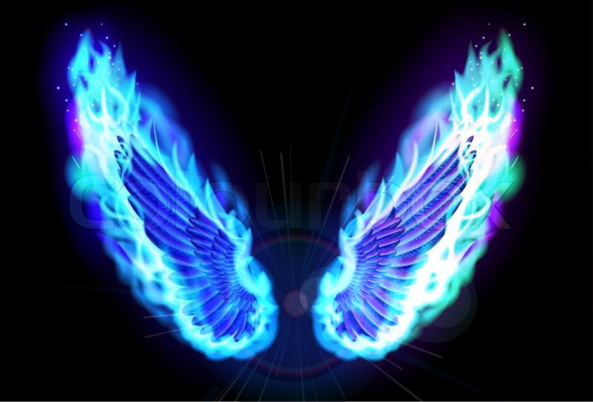Огненные крылья