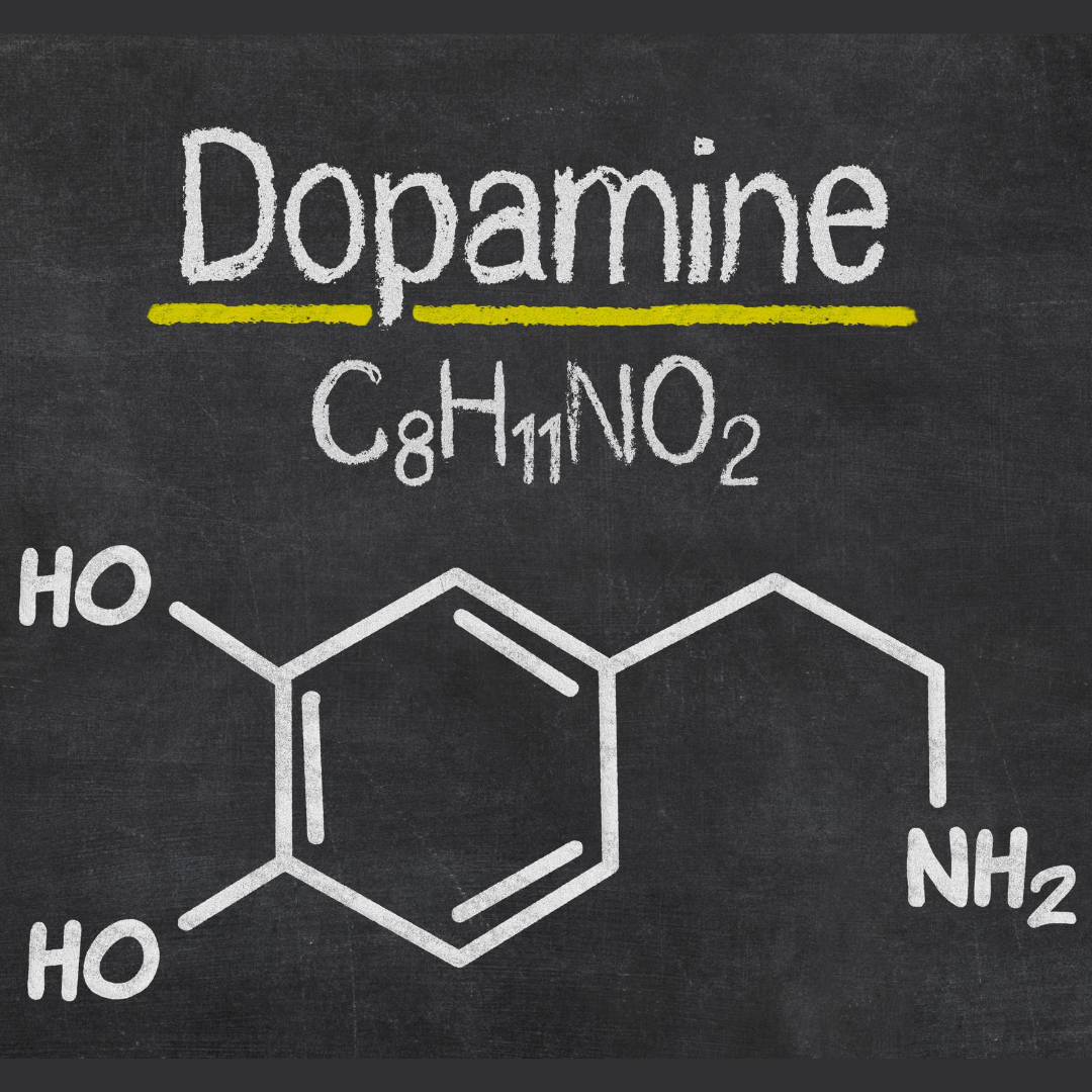 Дофамин. Дофамин структурная формула. Дофамин гормон. Молекула дофамина.