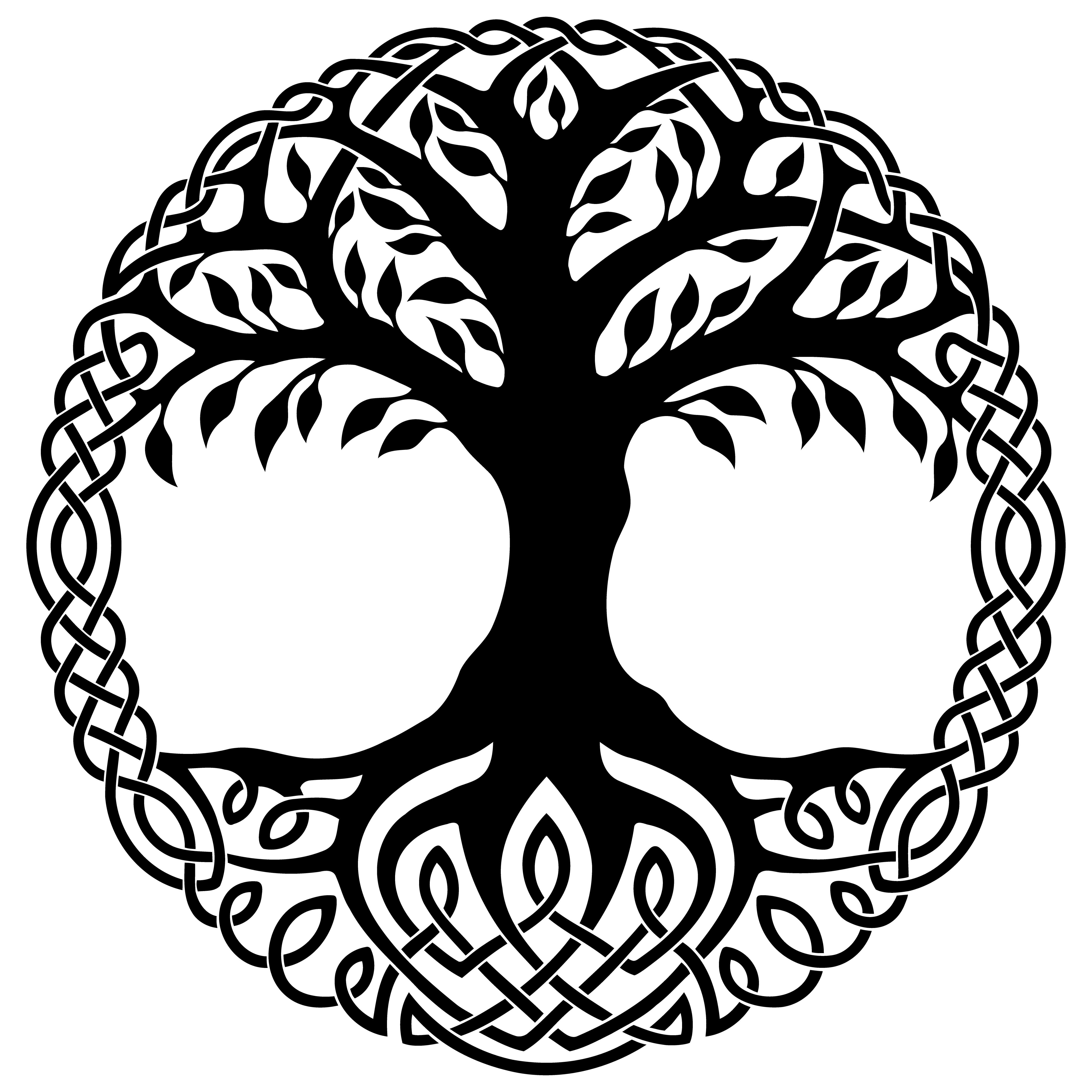 Знак дерево жизни. Кельтское дерево Иггдрасиль. Древо Иггдрасиль кельтика. Кельты дерево Иггдрасиль. Иггдрасиль мировое Древо.