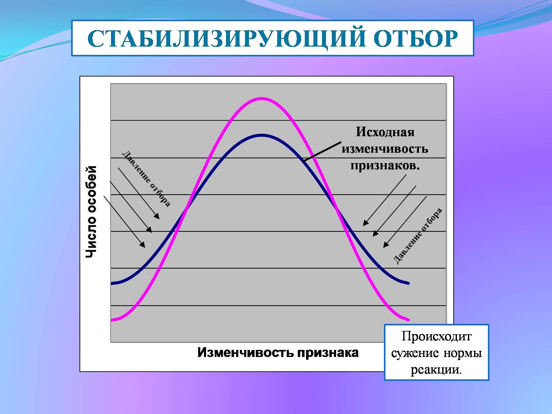 Современную эволюционную теорию можно представить в виде следующей объясните руководствуясь схемы
