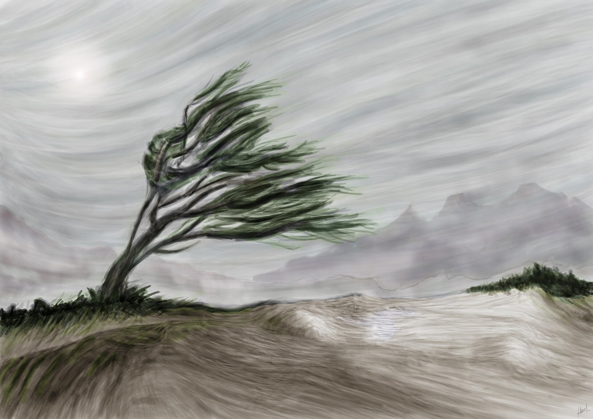 Рисунок ветра 1 класс окружающий мир. Ветер иллюстрация. Изображение ветра. Дерево на ветру. Нарисовать ветер.