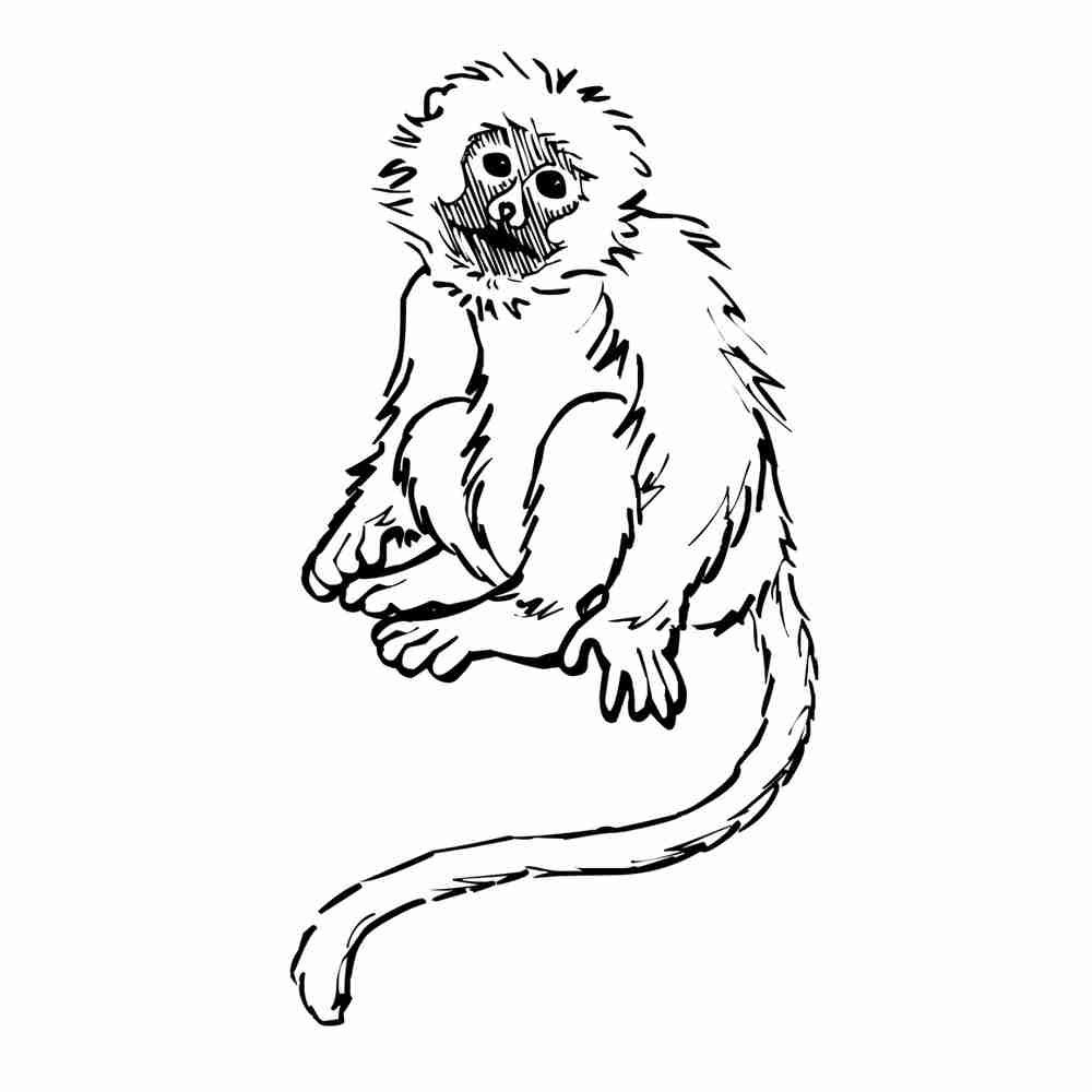 Тест по рассказу житкова обезьянка 3 класс