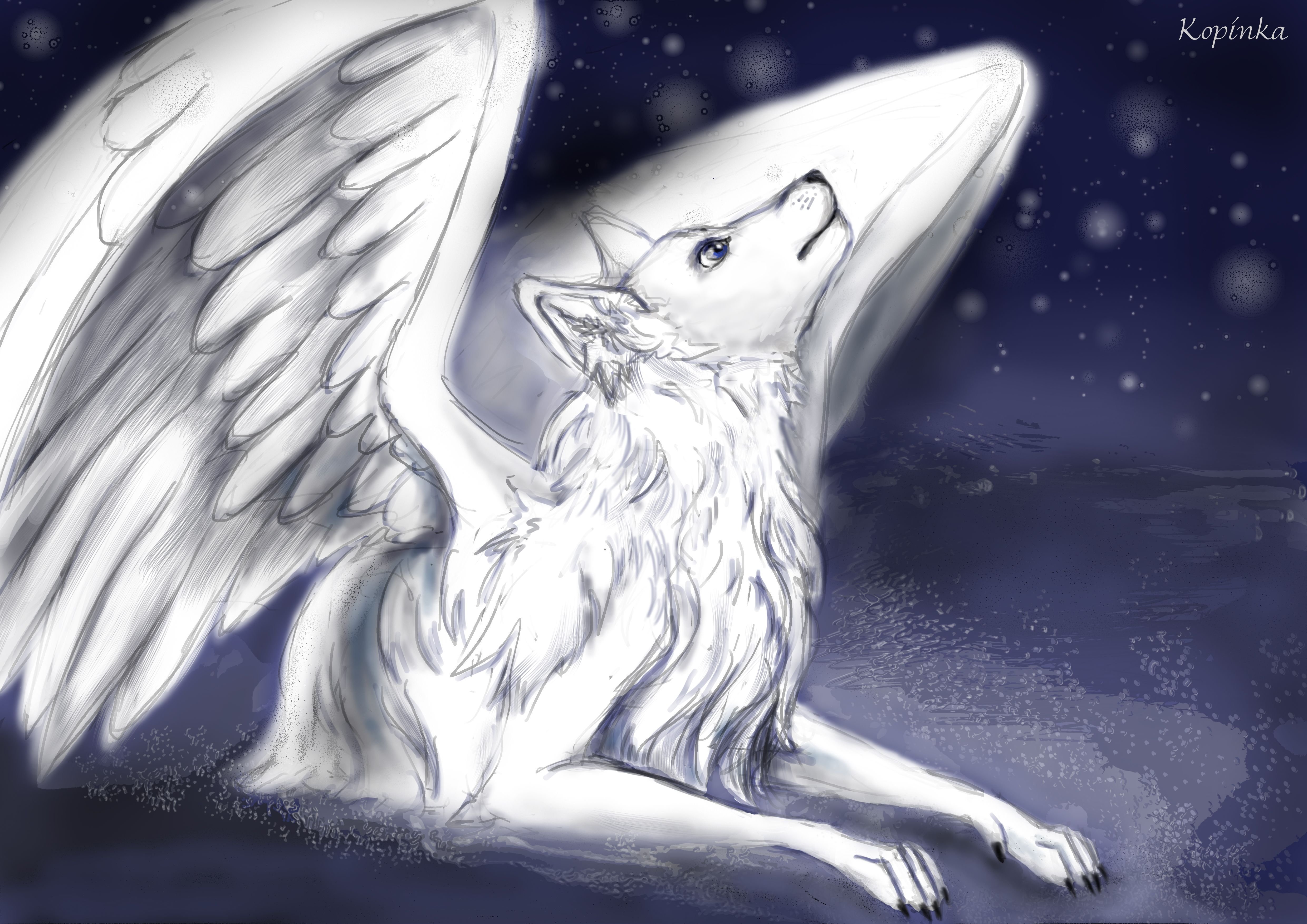 Angel wolf