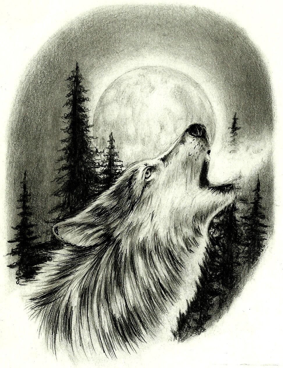 Волк воющий на луну рисунок карандашом