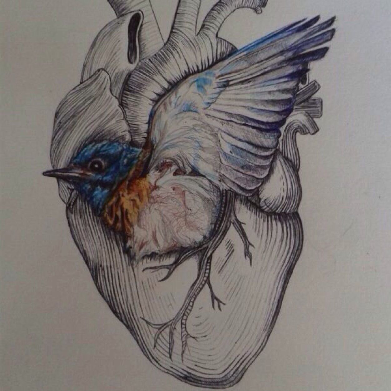 Твое сердце птица. Синяя птица Буковски тату. Сердце птиц. Тату птица с сердцем. Сердце и птица арт.