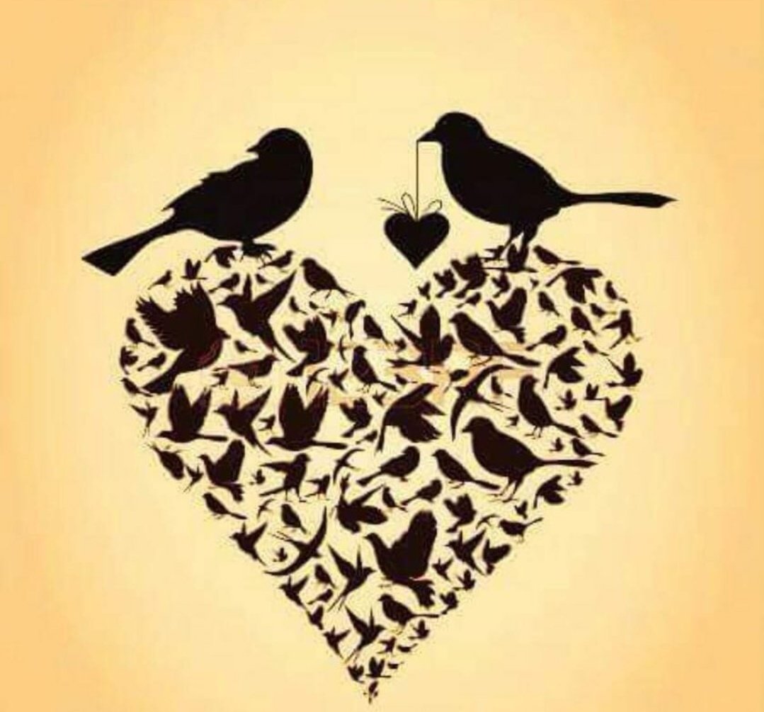 Сердце птицы рисунок