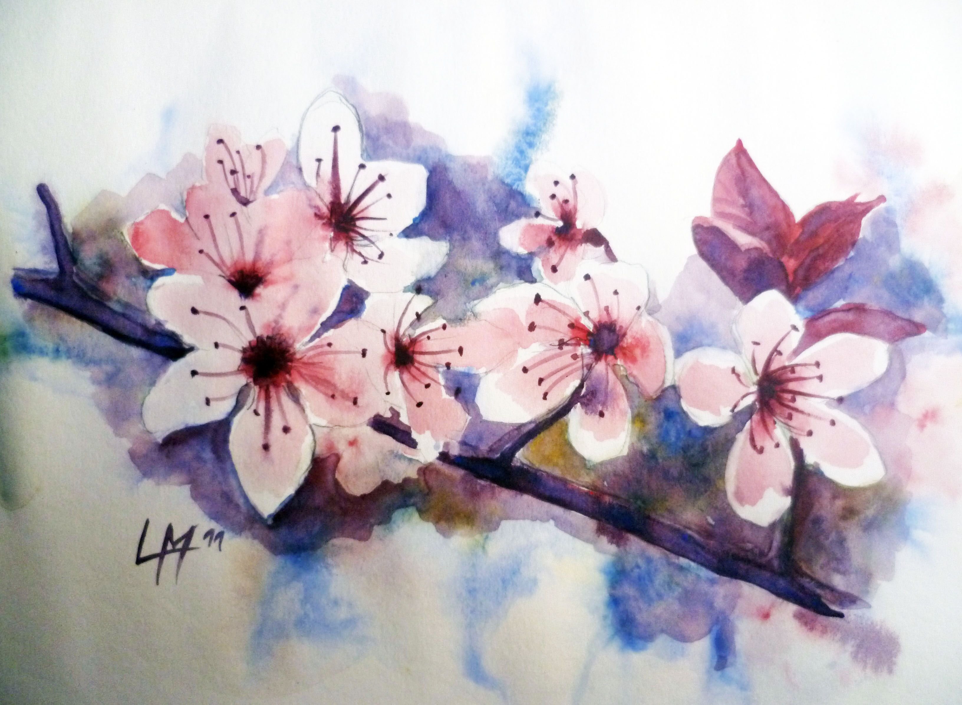 Рисование сакуры. Акварельные цветы. Цветы для рисования акварелью. Цветы нарисованные акварелью. Сакура гуашью.