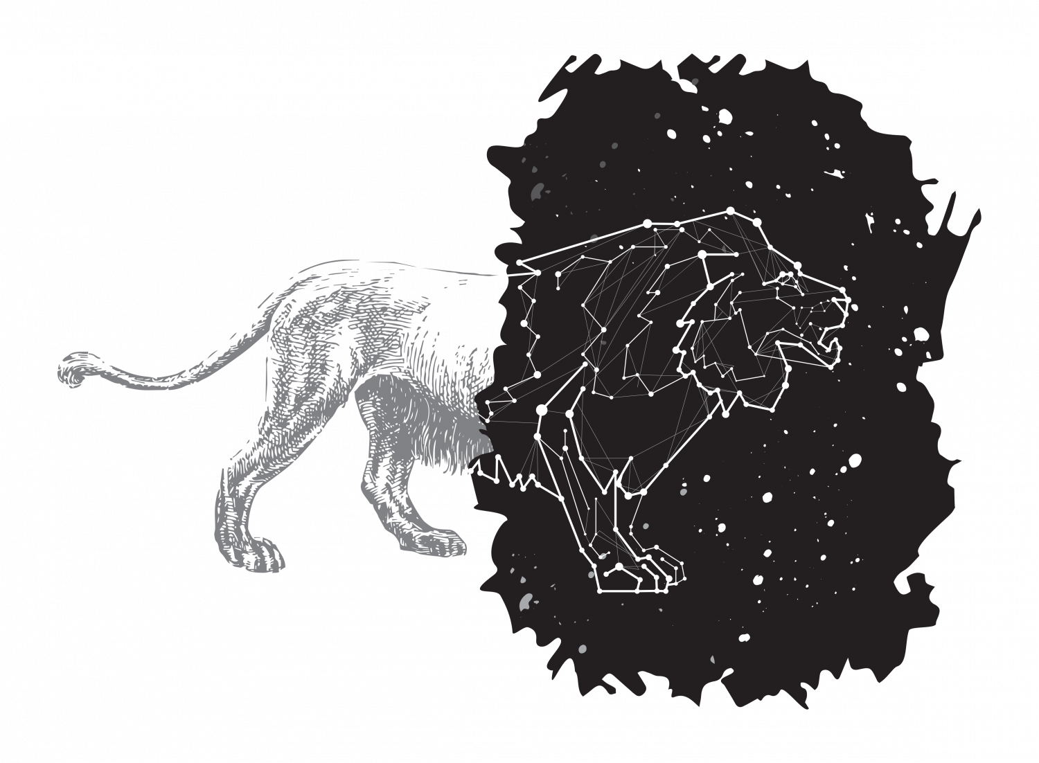 Фигура льва созвездие. Созвездие Льва. Созвездие Льва на Звездном небе. Созвездие Льва рисунок. Созвездие Лева на белом фоне.