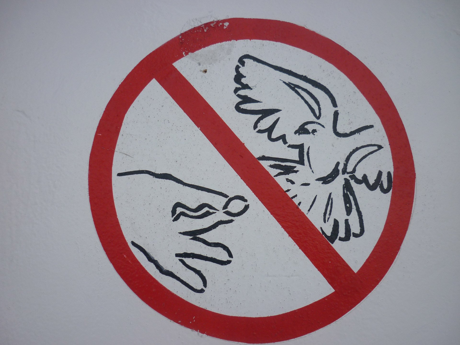 Берегите люди птиц. Экологические знаки. Знаки защиты природы. Запрещающие знаки. Экологические знакики.