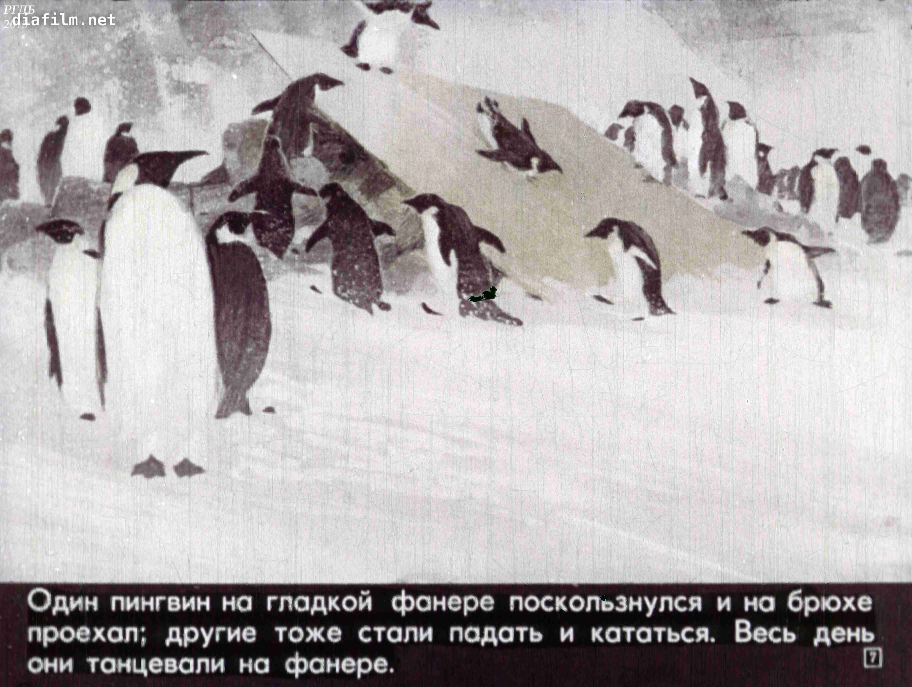 Пересказ рассказов про пингвинов старшая. Рассказ про пингвинов Снегирев. Г Снегирев Пингвиний пляж. Г Снегирева про пингвинов рассказ. Иллюстрации рассказа про пингвинов Снегирёв.