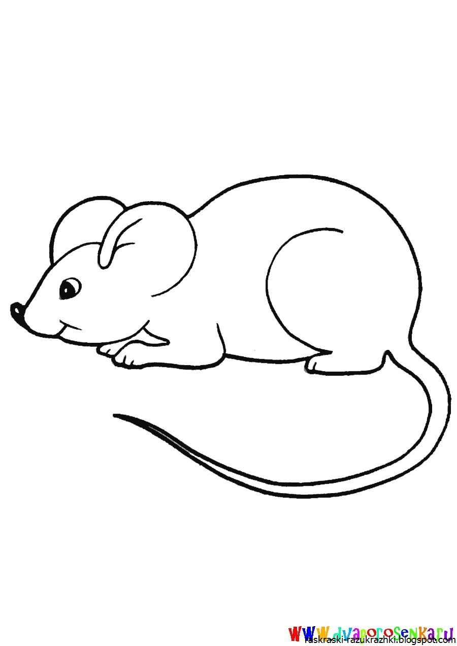 Раскраска мышка. Мышь раскраска для детей. Мышонок раскраска для детей. Мышка раскраска для детей. Раскраска мышь распечатать