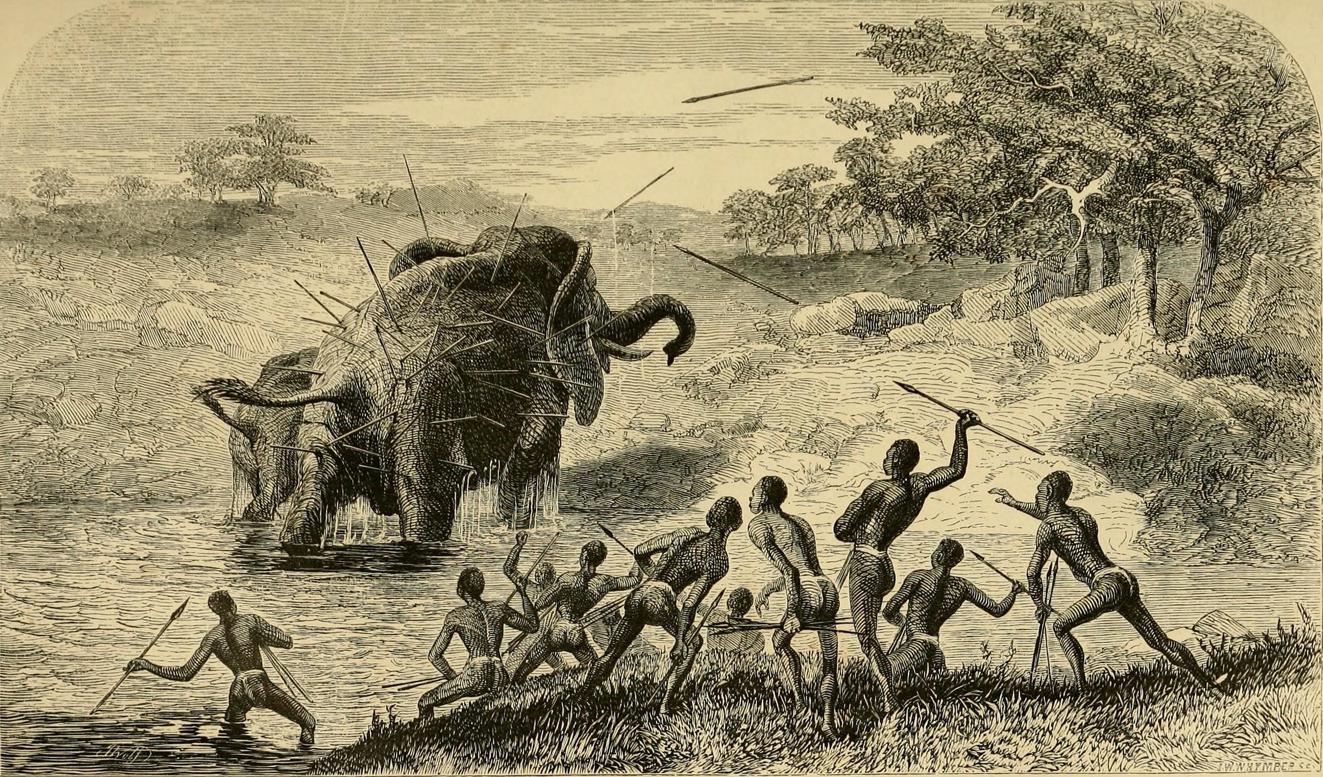 Первобытный человек отражал в рисунках важнейшие события. Охота пигмеев Африки 19 века. Охота древних людей. Первобытные охотники и собиратели. Загонная охота на мамонта.