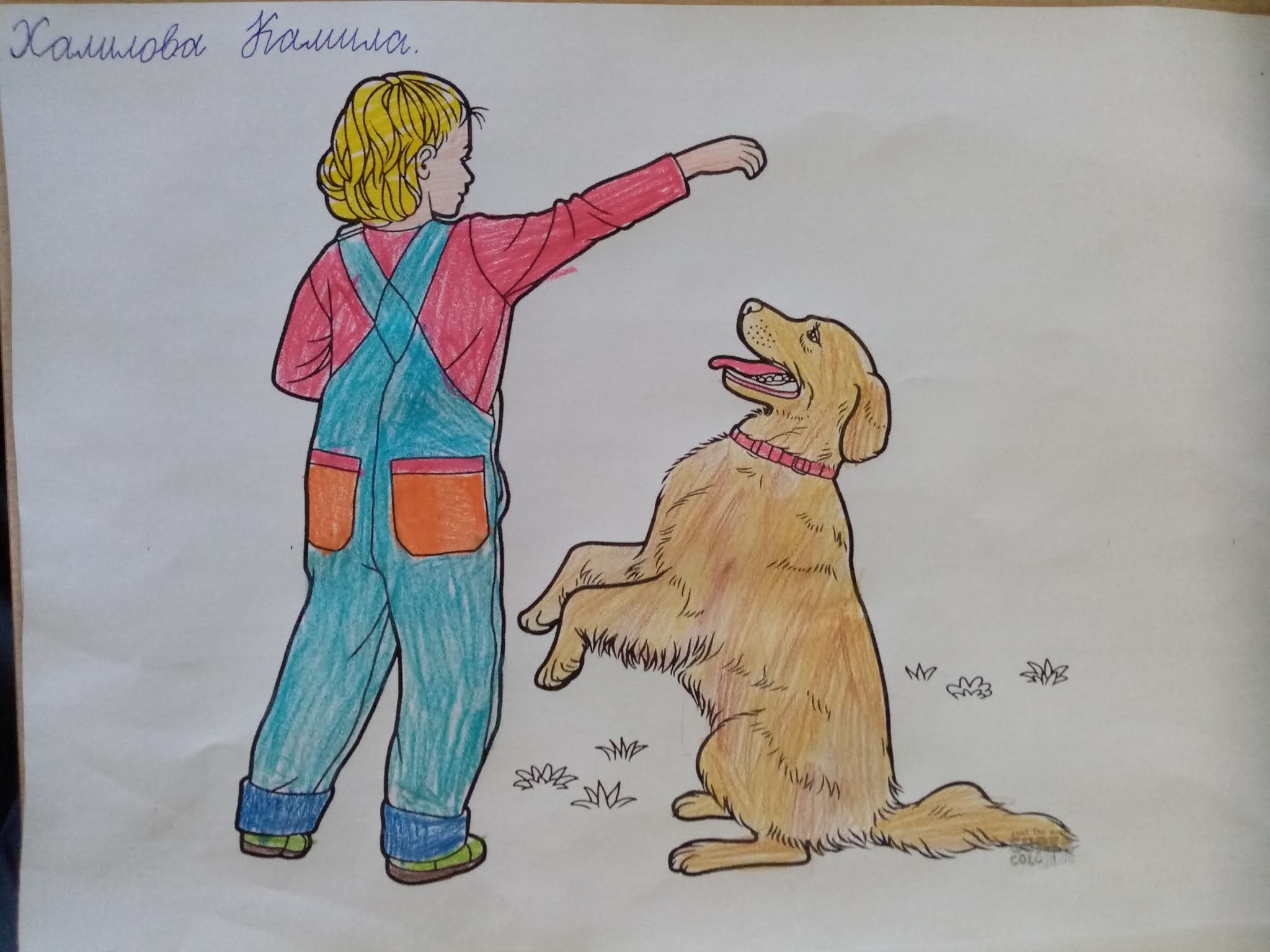 Сказка верный друг. Рисунок на тему собака друг человека. Верный друг рисунок. Конкурс рисунков верный друг. Рисунок на конкурс человек собаке друг.
