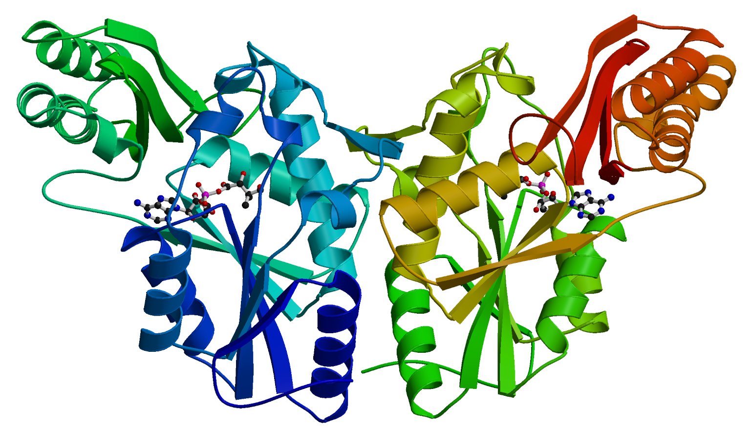 Природа вещества фермент. Трехмерная структура белка. Моделирование структуры белка. Белок трехмерная структура. Трехмерной молекулярной структуры белков.