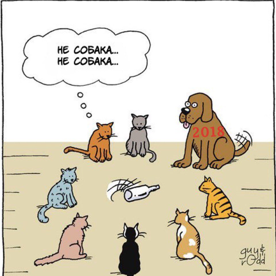 Мем кошка собака. Карикатуры кошек и собак. Карикатуры смешные. Собака карикатура. Карикатуры про собак смешные.