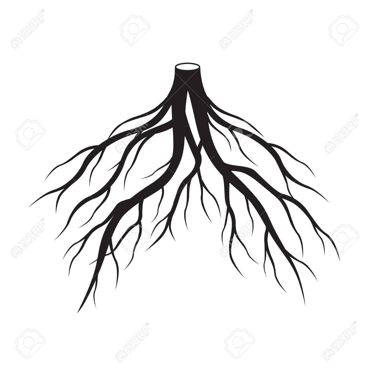 Корни черно белая. Дерево с корнями вектор. Черные корни дерева. Корни дерева черно белые. Корни дерева узор.