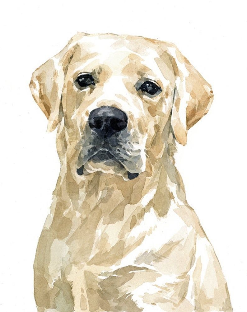 Собака в профиль рисунок