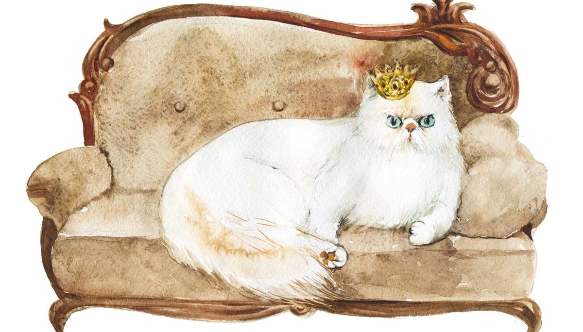 Кошка на диване рисунок