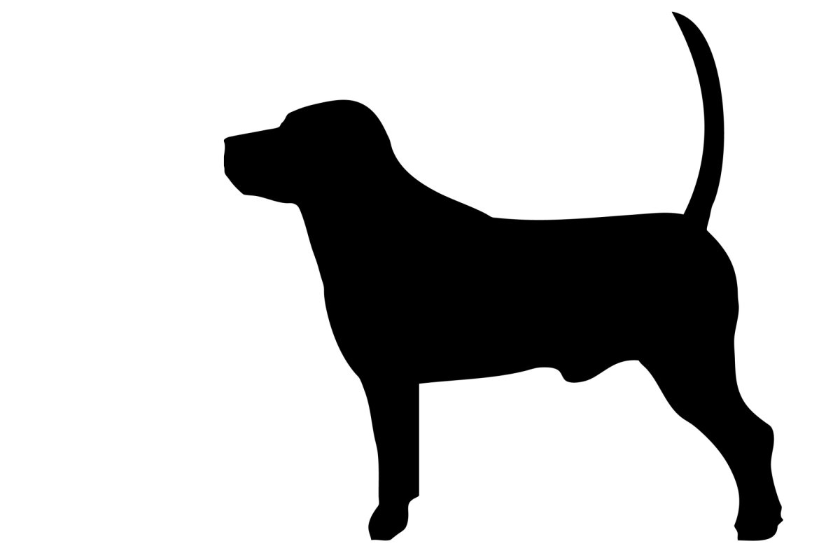 Силуэт собаки рисунок