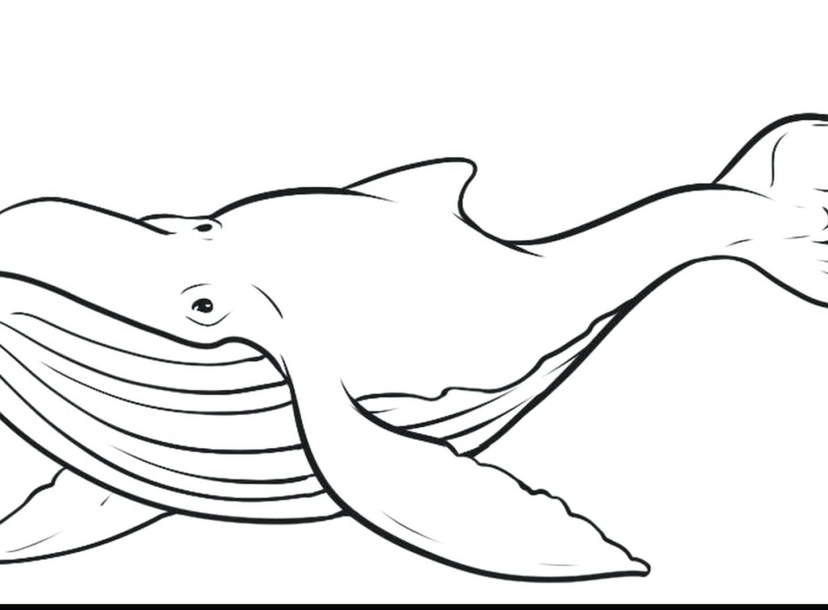 Черно белый рисунок кит