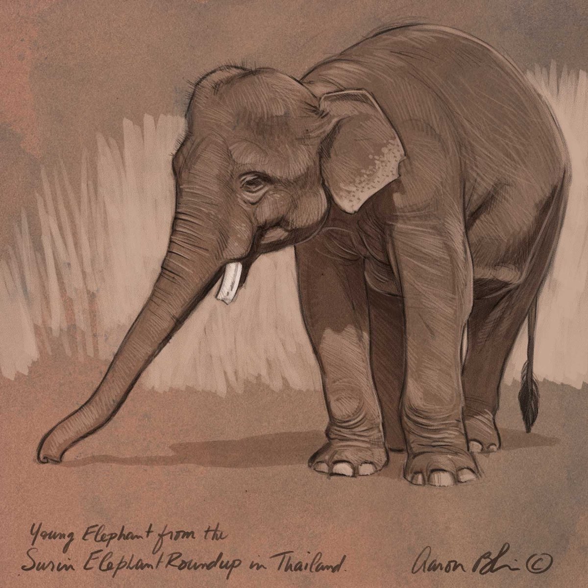 фото нарисованных слонов