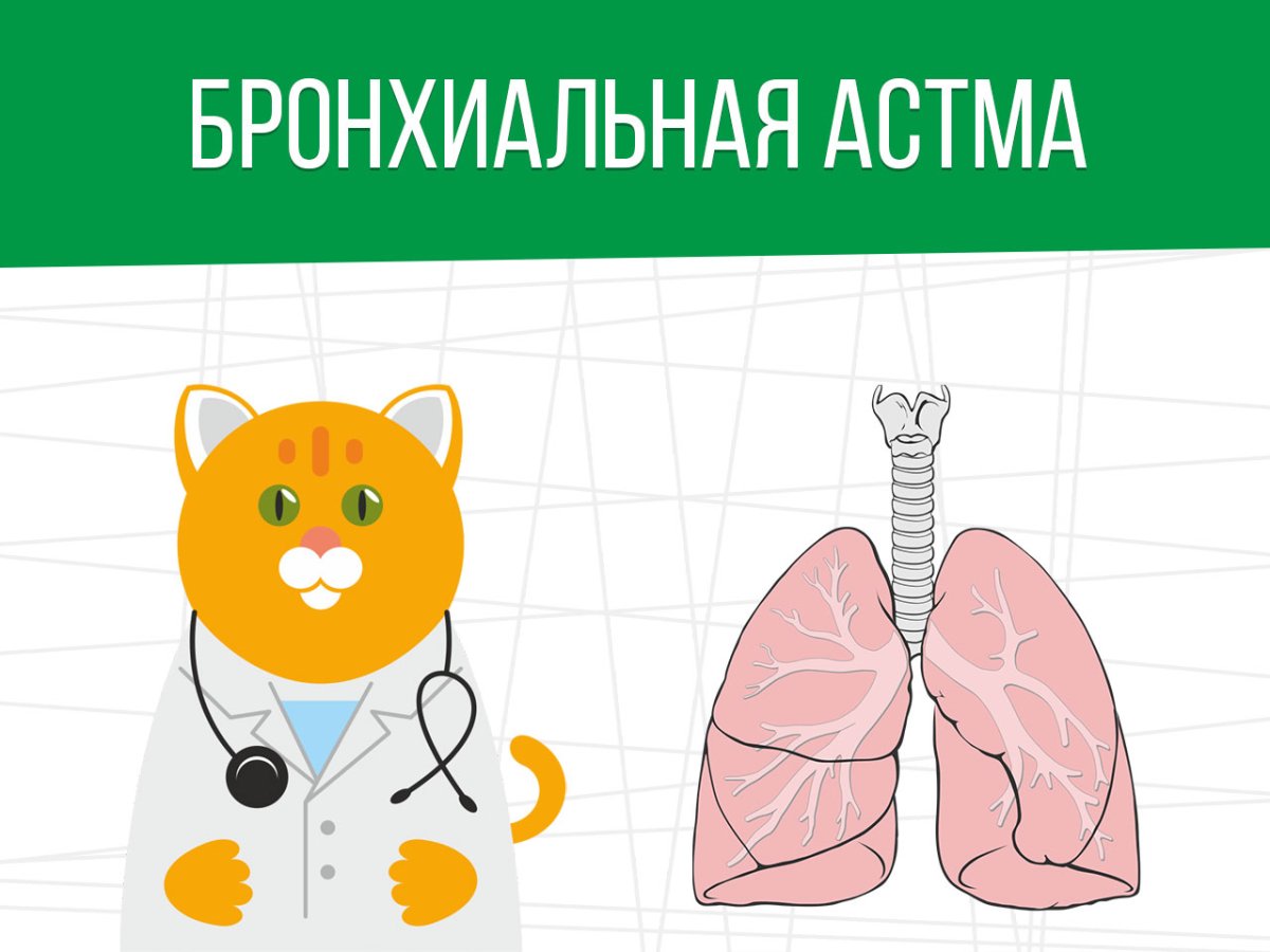 Постер астма. Бронхиальная астма. Бронхиальная астма плакат. Постер на тему бронхиальная астма. Профилактика бронхиальной астмы плакат.