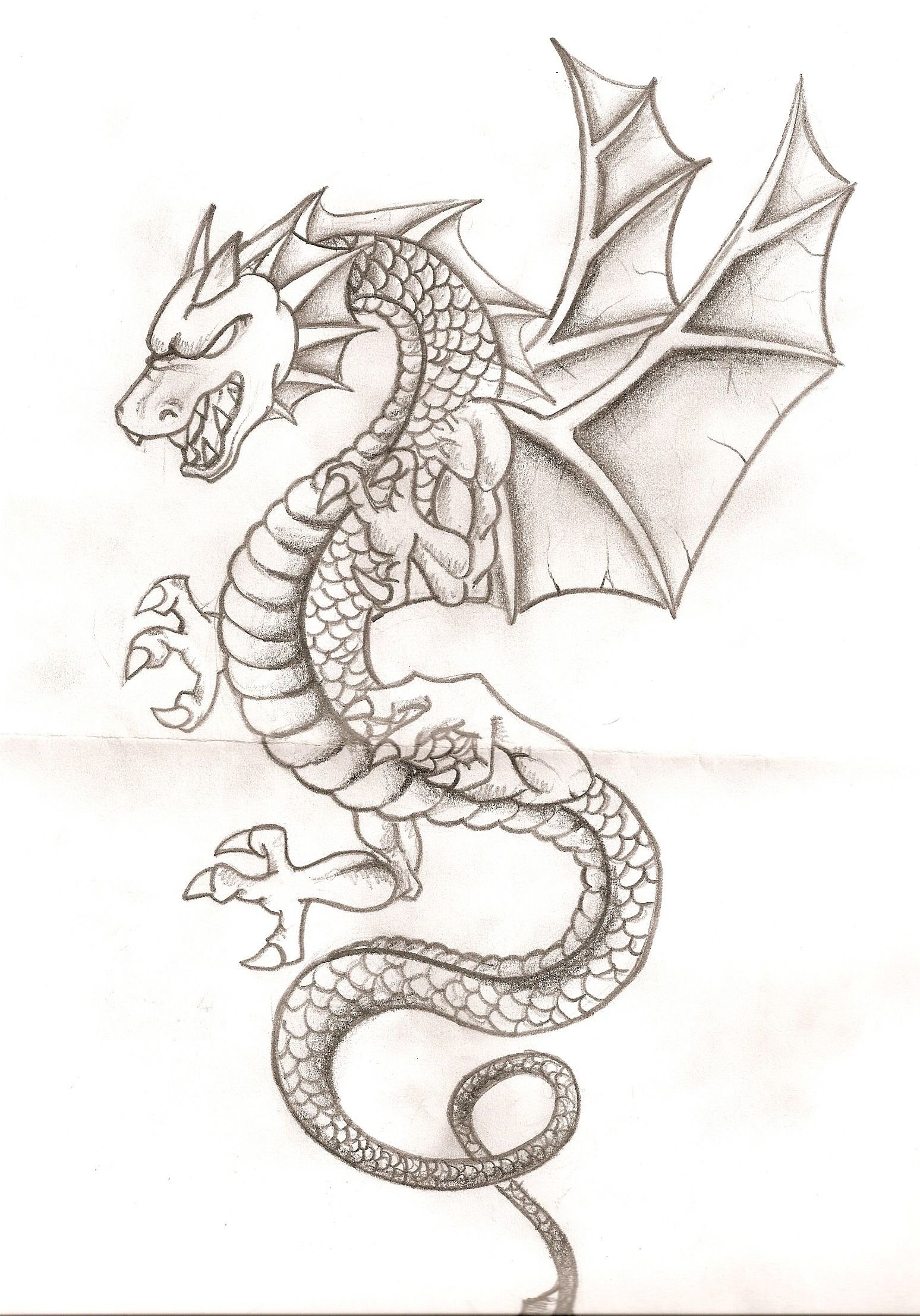 Дракон картинки для срисовки. Рисунки драконов карандашом. Дракон простым карандашом. Красивый дракон рисунок. Дракончики для срисовки.