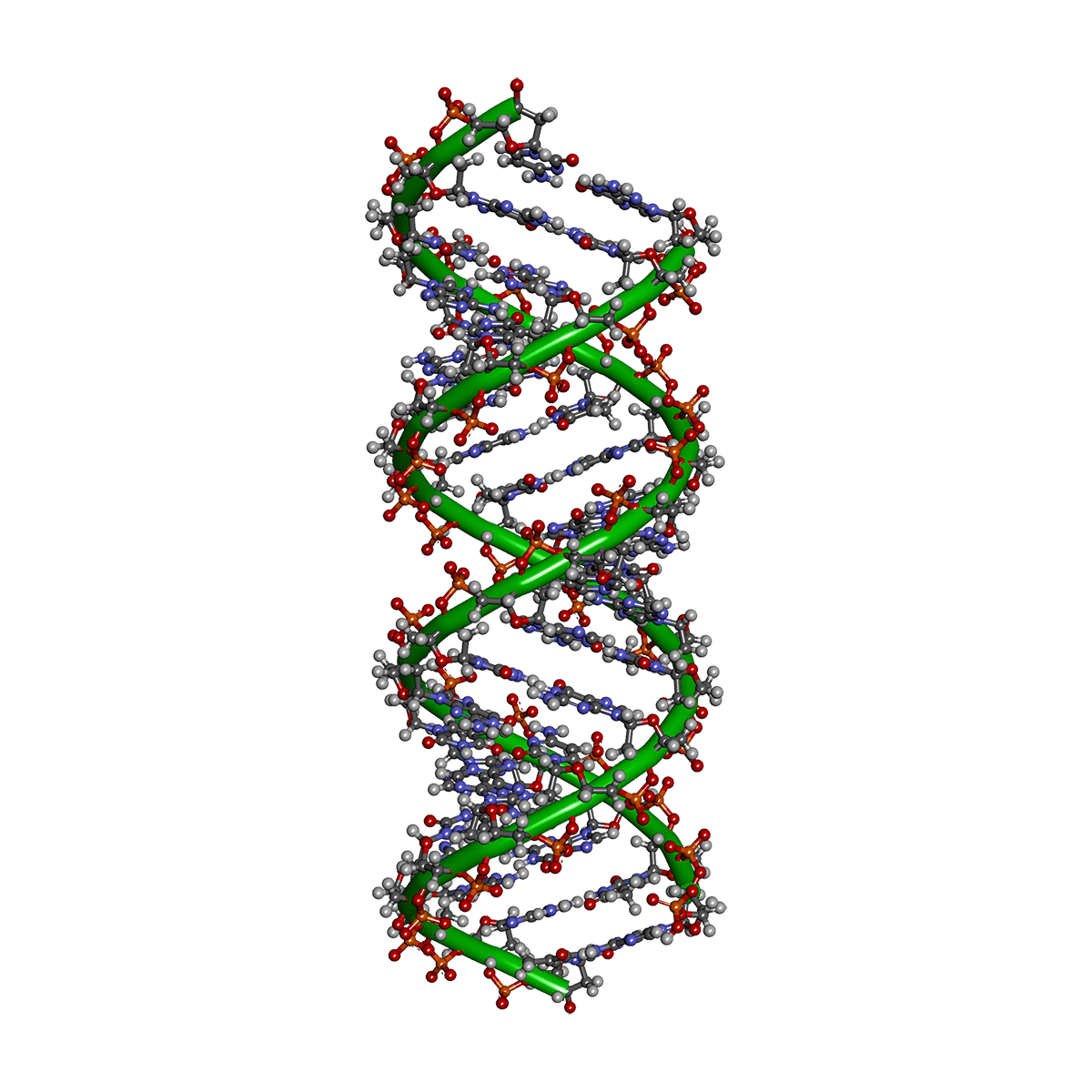Цепочка ДНК. Молекула ДНК. Спираль ДНК. ДНК на прозрачном фоне.