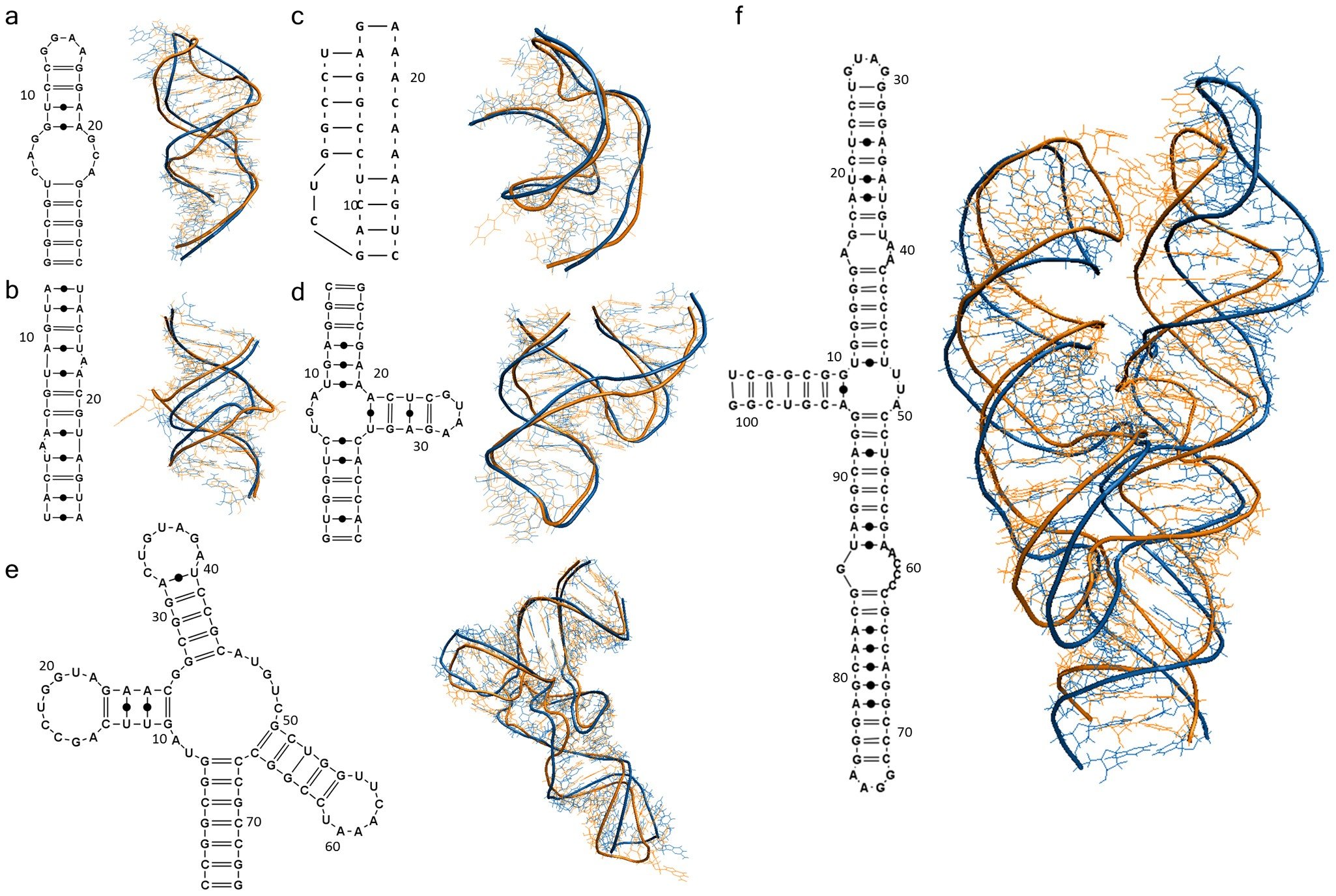Вторичная рнк. Вторичная структура структура РНК. Первичная и вторичная структура РНК. Третичная структура РНК. Вторичная и третичная структура РНК.