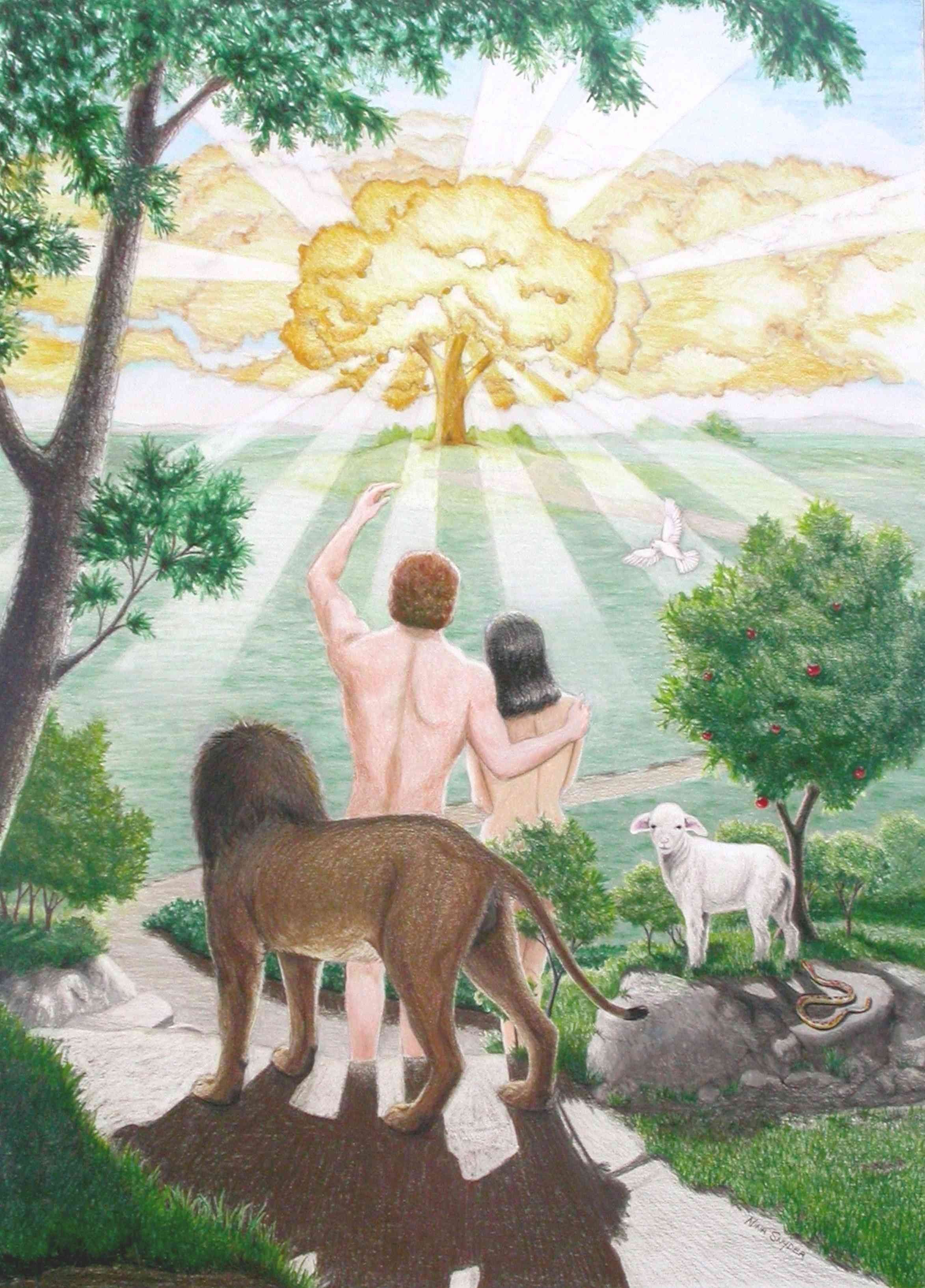Познание животных. Творения Бога природа. О природе богов. Зарождение жизни на земле. Появление жизни на земле.