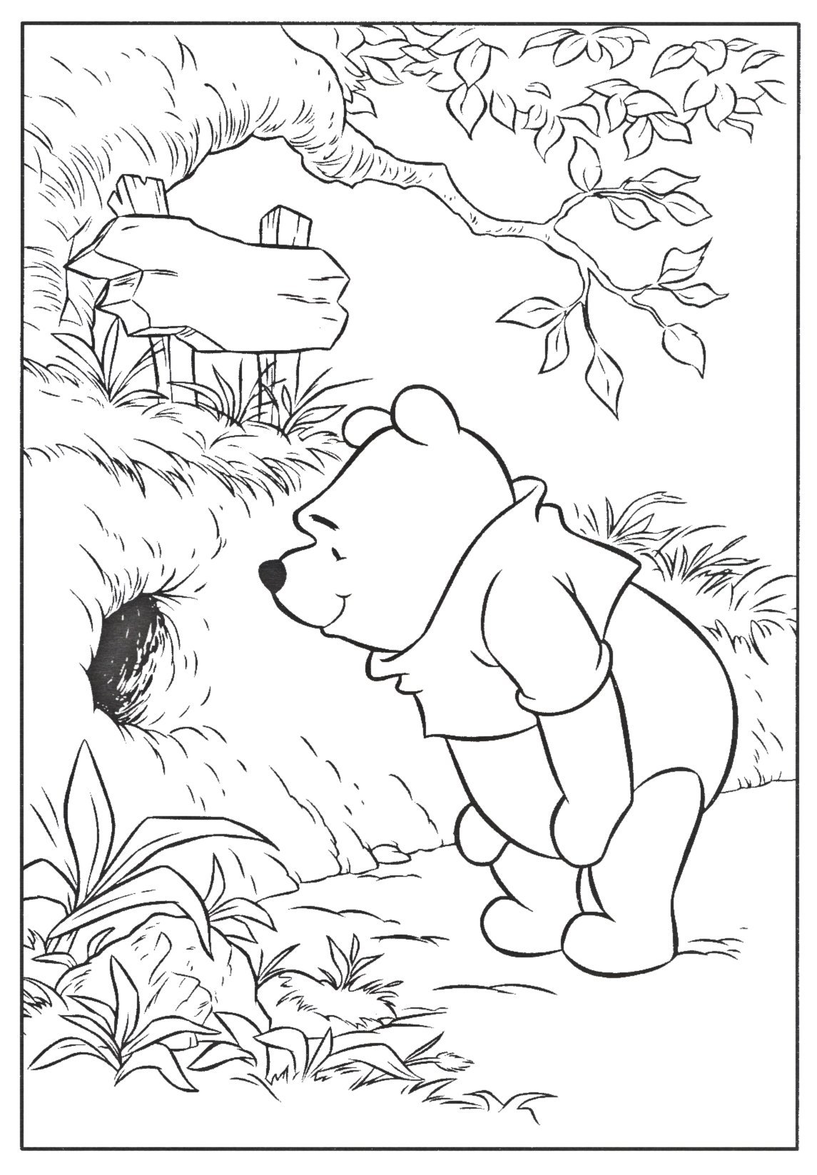 Медведи раскраска игра. Раскраска "Винни-пух". Медведь раскраска. Медведь раскраска для детей. Раскраска мишка Винни пух.