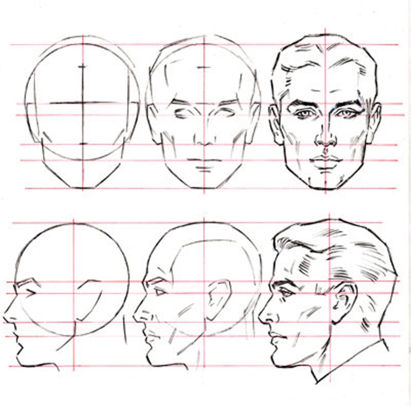 Лицо рисунок схема. Схема головы человека в профиль и анфас. Пропорции головы человека референс. Пропорции головы человека анфас или профиль. Пропорции лица человека в анфас.