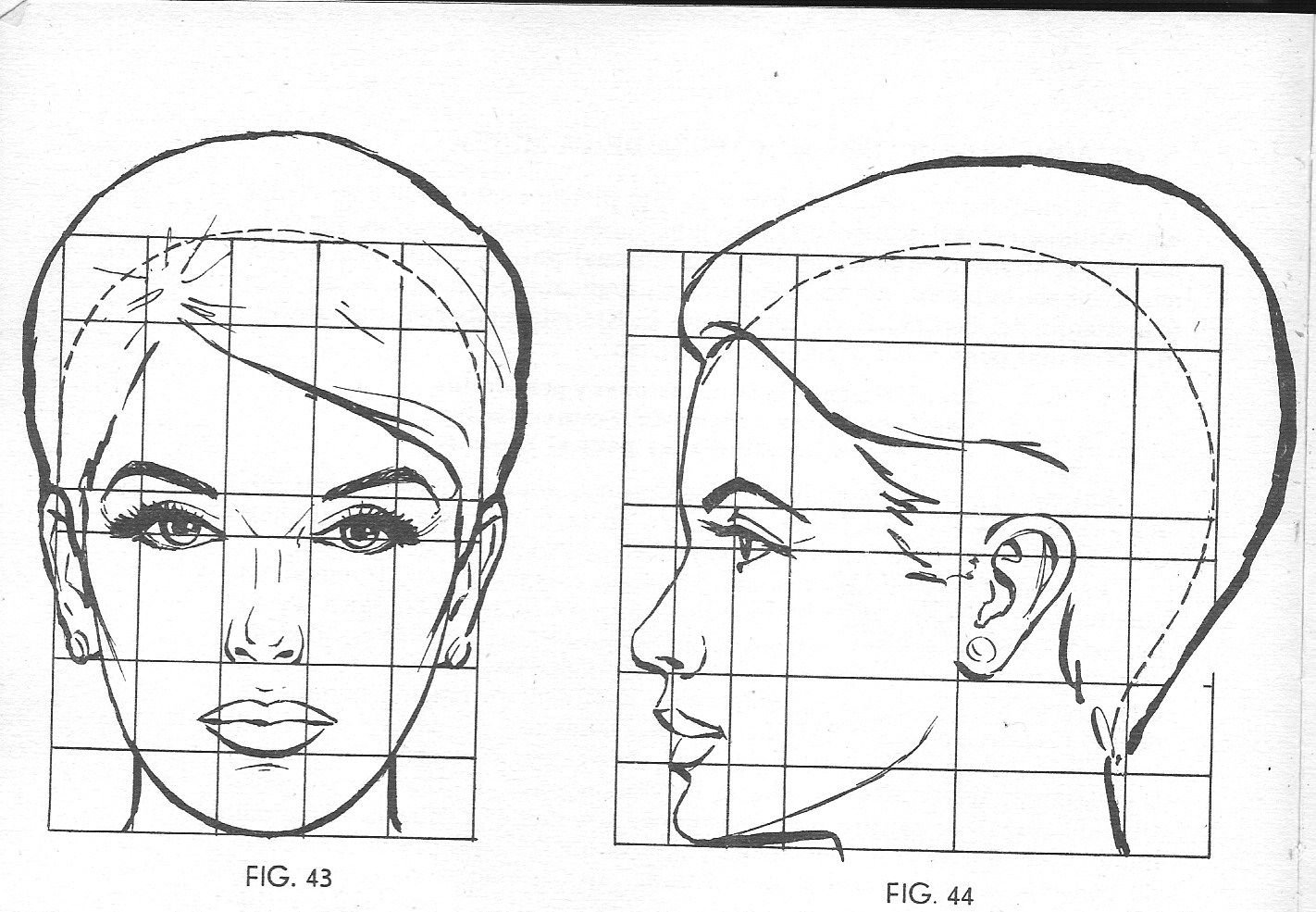 Рубленное лицо. Пропорции лица человека ФАС профиль. Пропорции лица человека профиль и анфас. Схема пропорций головы человека анфас. Пропорции головы человека рисунок.