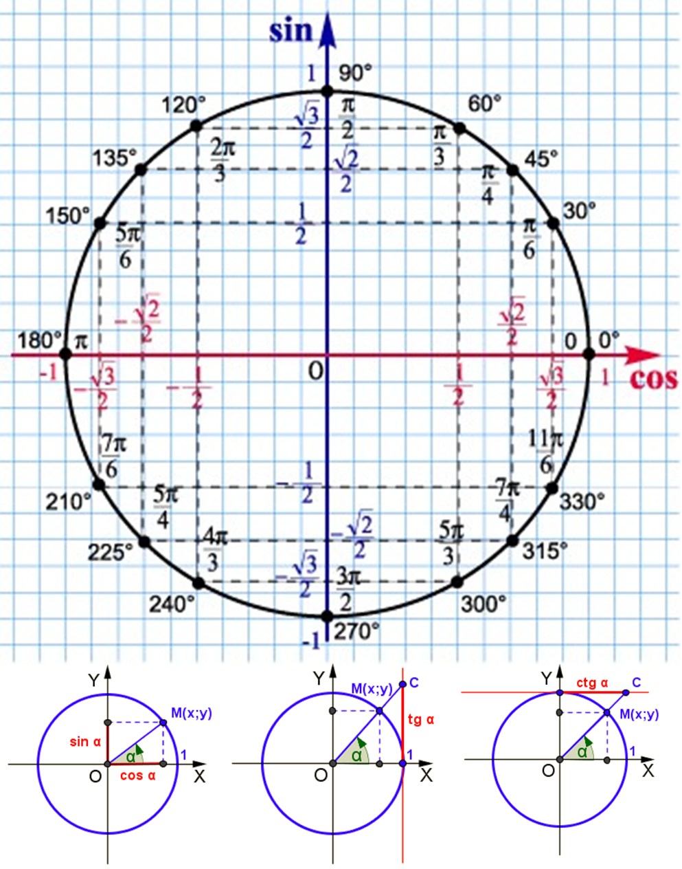 П 7 23 и 1. П/6 на числовой окружности. Единичная окружность тригонометрия 10 класс. Тригонометрический круг единичная окружность. Макет тригонометрической окружности.