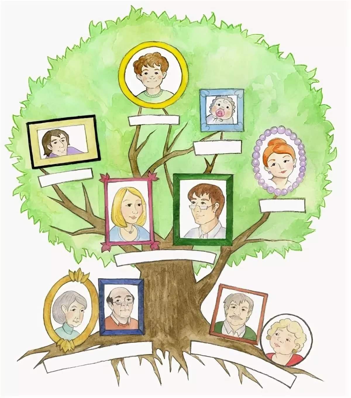 Семейное дерево рисунок шаблон - 63 фото