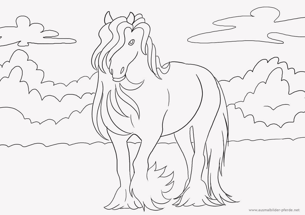 Раскрасить лошадку. Раскраска. Лошадка. Лошадка раскраска для детей. Раскраски лошадки для девочек. Лошадь раскраска для детей.