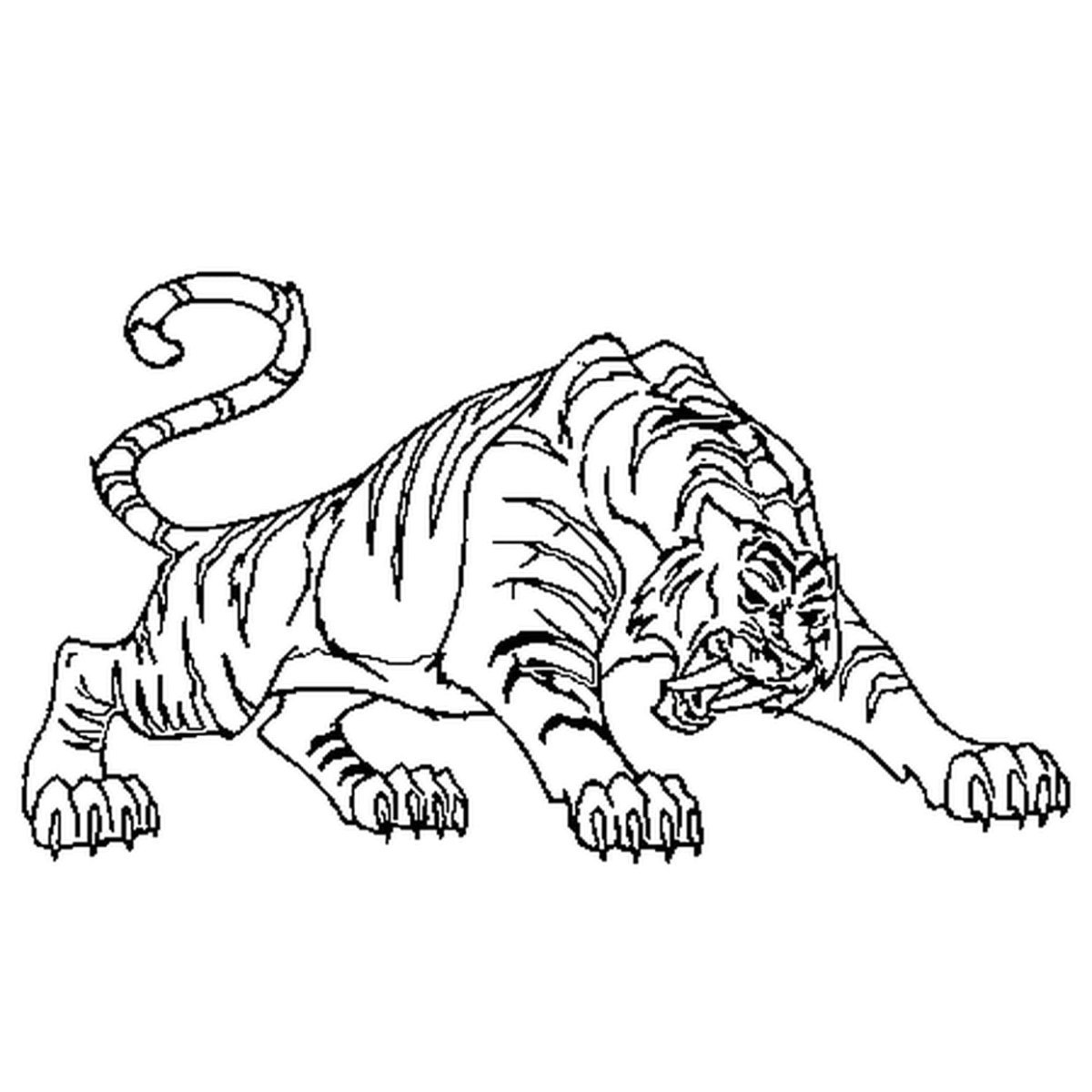 Злой тигр раскраска