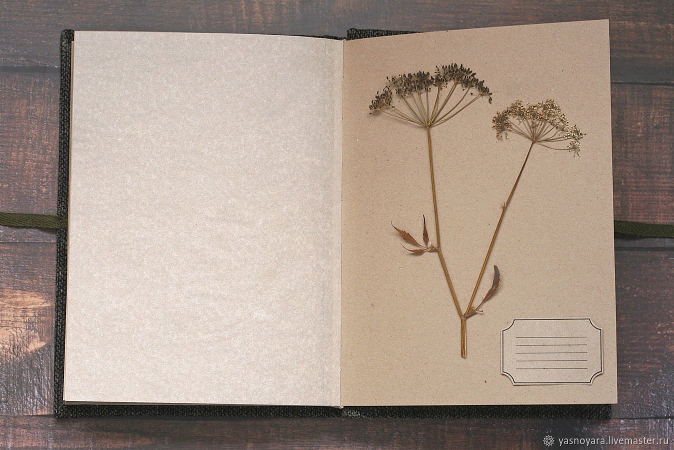 Что такое ботаническая папка в биологии 5. Ботаническая сетка для гербария. Гербарий на бумаге. Гербарий на картоне. Специальный альбом для гербария.