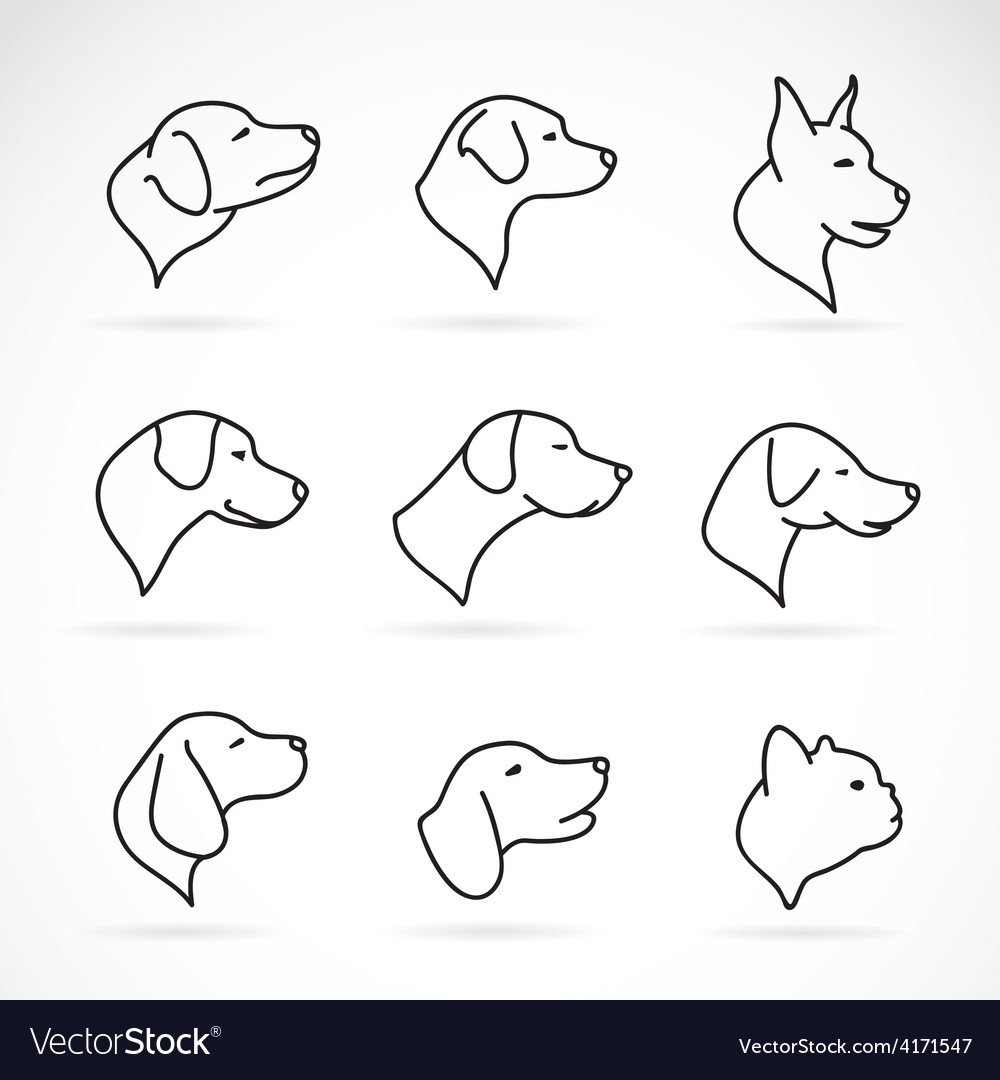 Зубы собаки рисунок