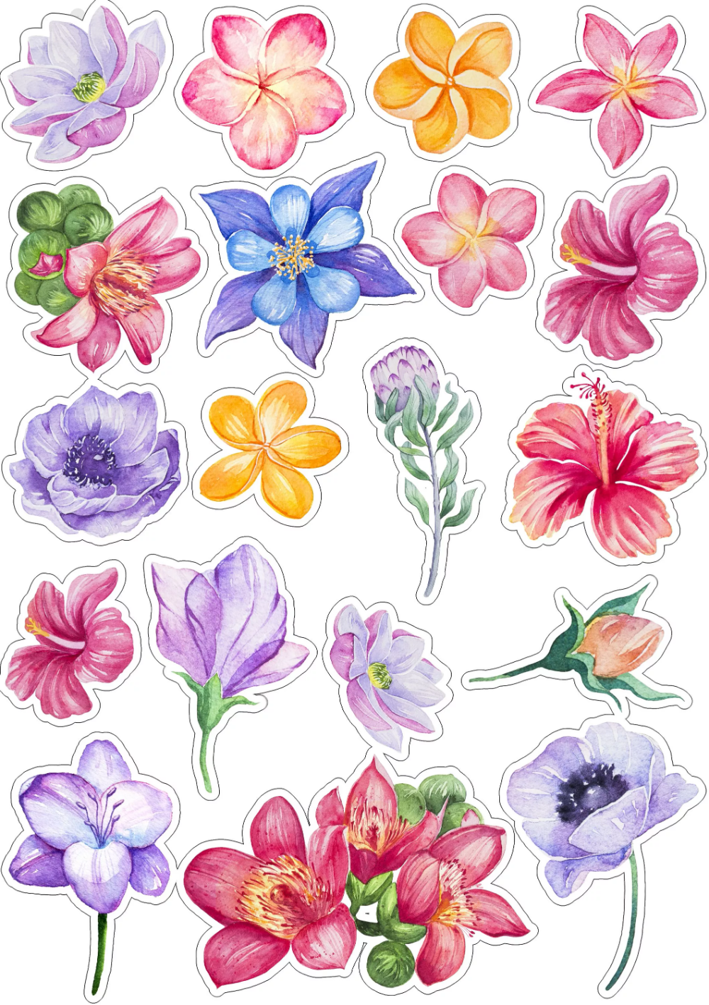 Рисунки цветочков для оформления