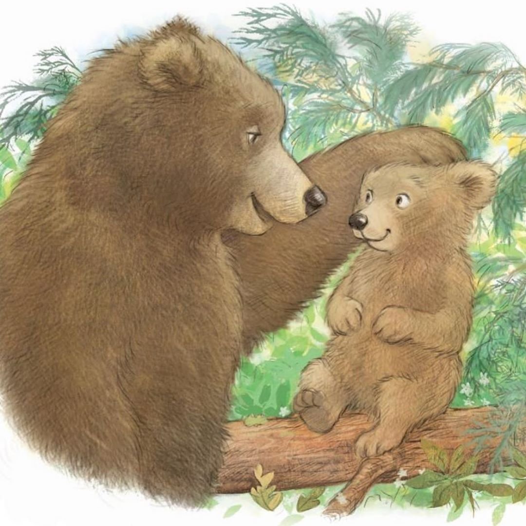 Медведица с медвежонком рисунок